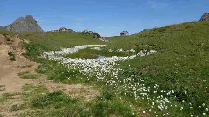 © Stefan Bürger, DAV Haar