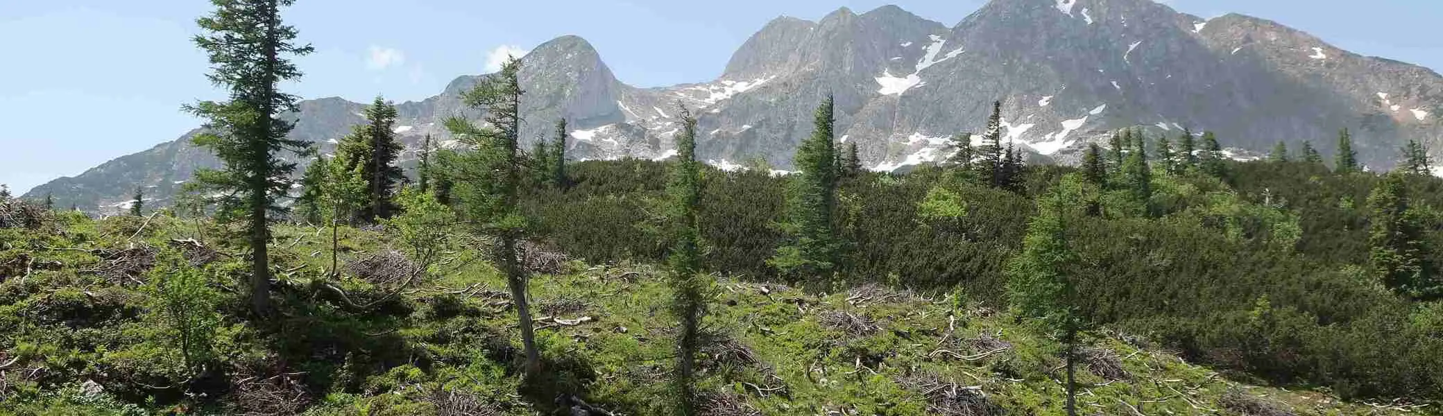 © Stefan Bürger, DAV Haar