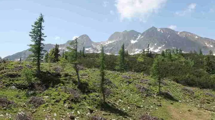 © Stefan Bürger, DAV Haar