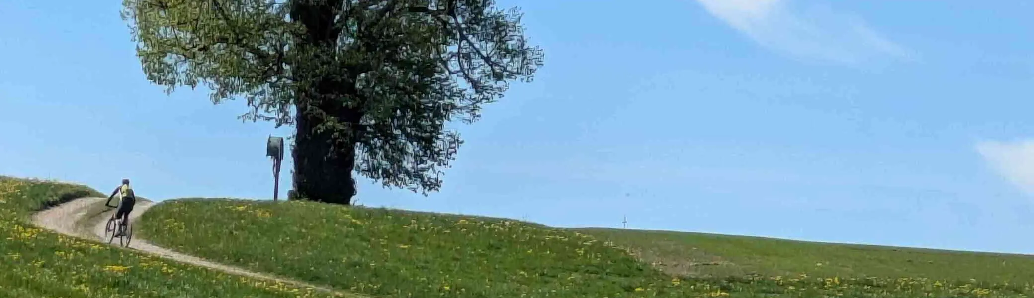 Baumpflanzung | © Stefan Bürger, DAV Haar