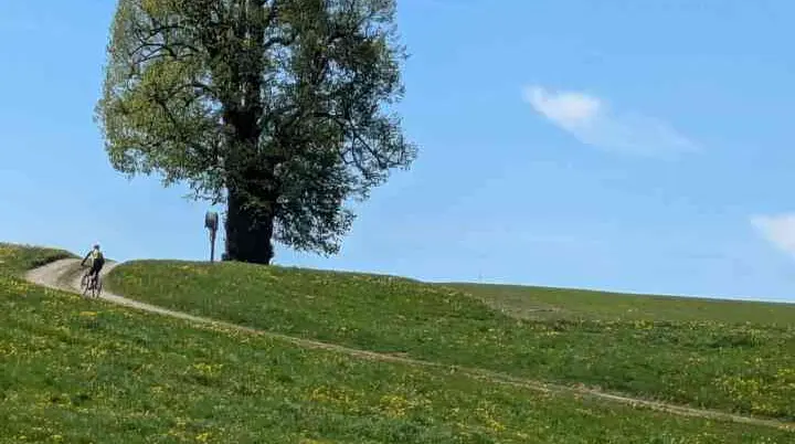 Baumpflanzung | © Stefan Bürger, DAV Haar