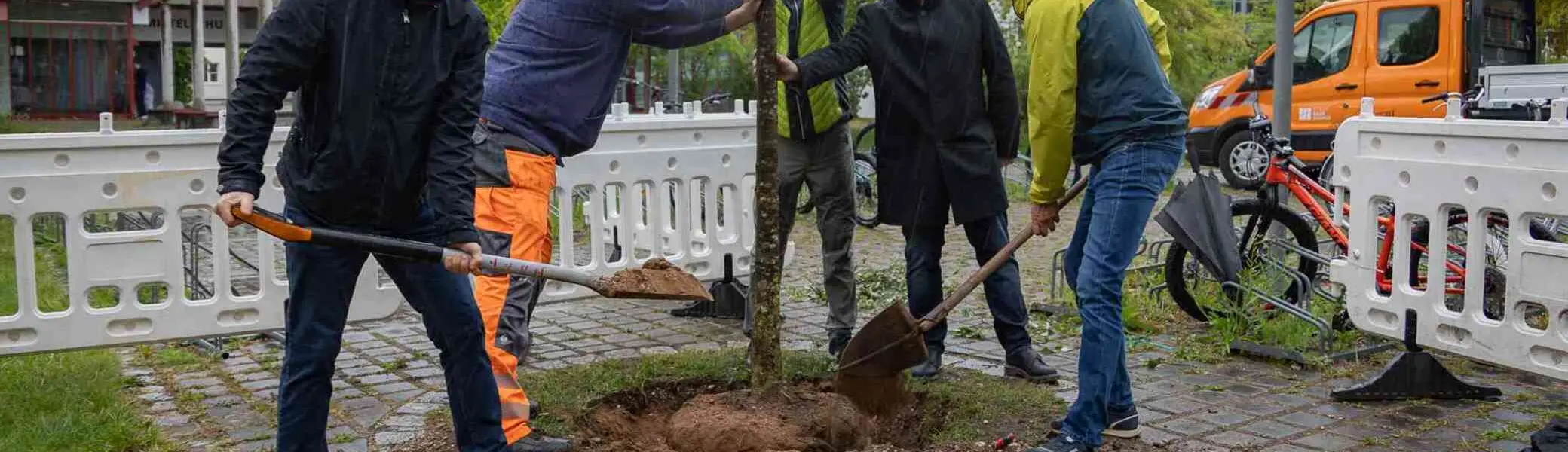 Klimabaum Haar | © Janina Ruthenkolk, Stadt Haar