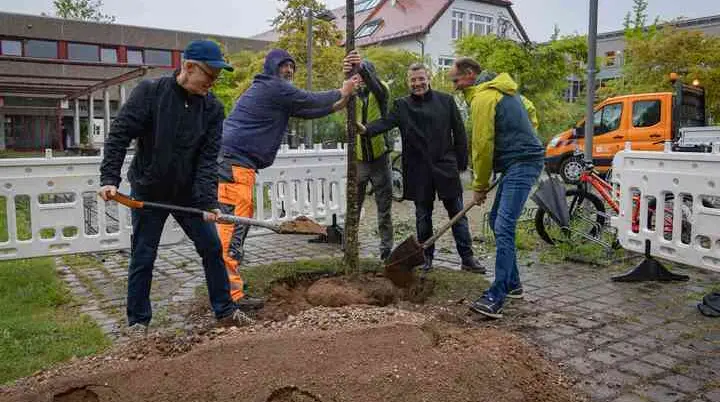 Klimabaum Haar | © Janina Ruthenkolk, Stadt Haar