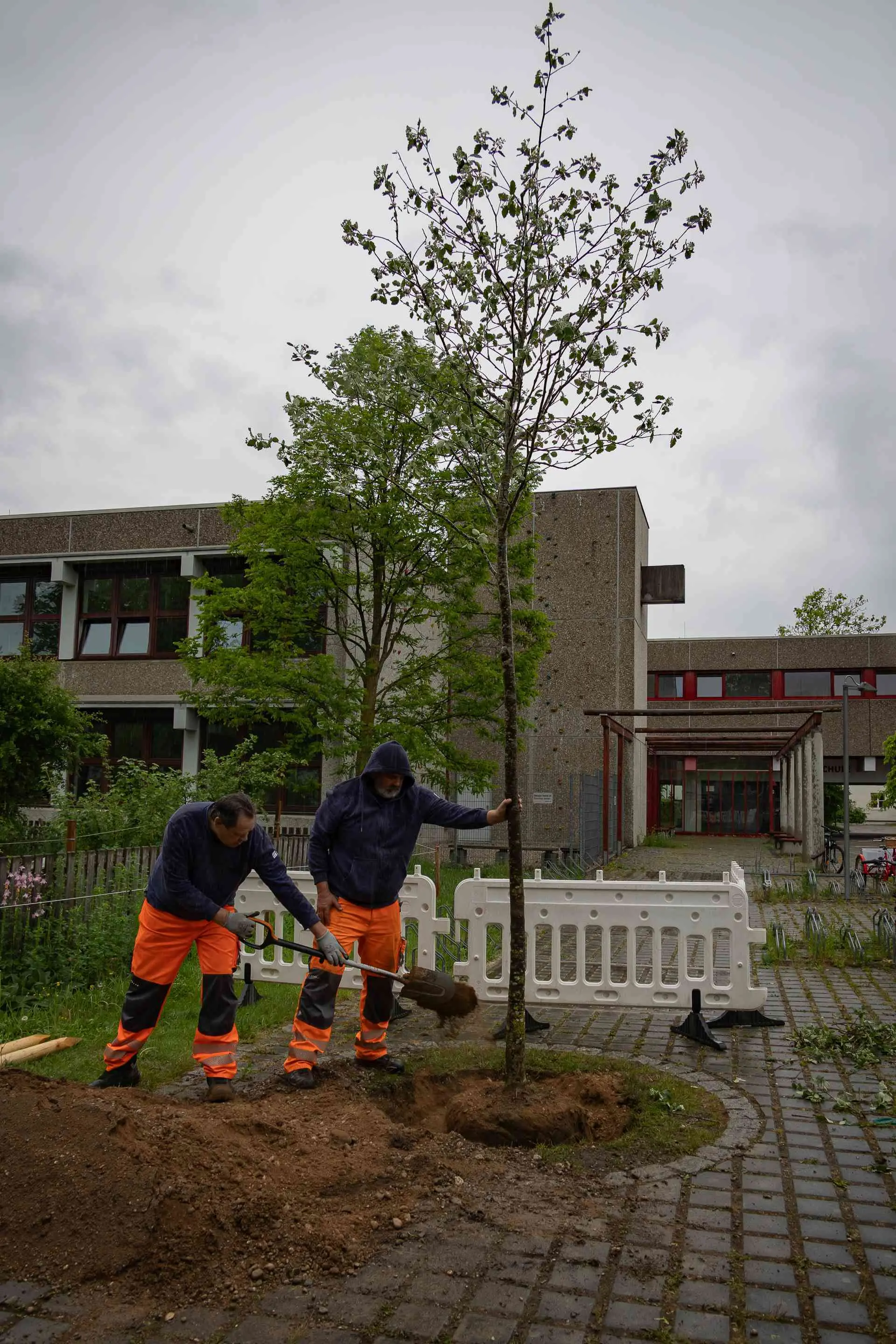 Klimabaum, Stadt Haar | © Janina Ruthenkolk, Stadt Haar