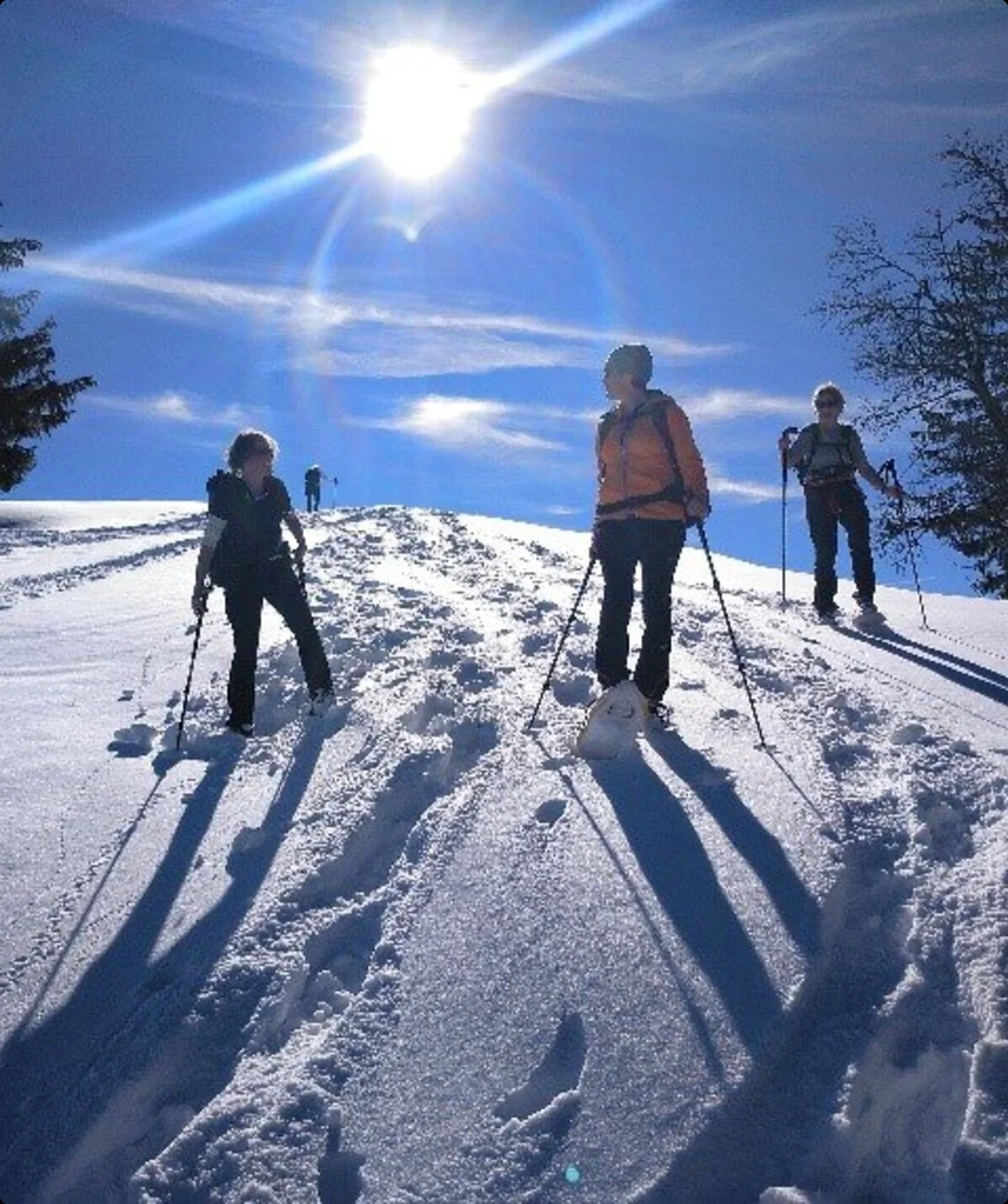 Bergwandern Winter | © DAV Sektion Haar