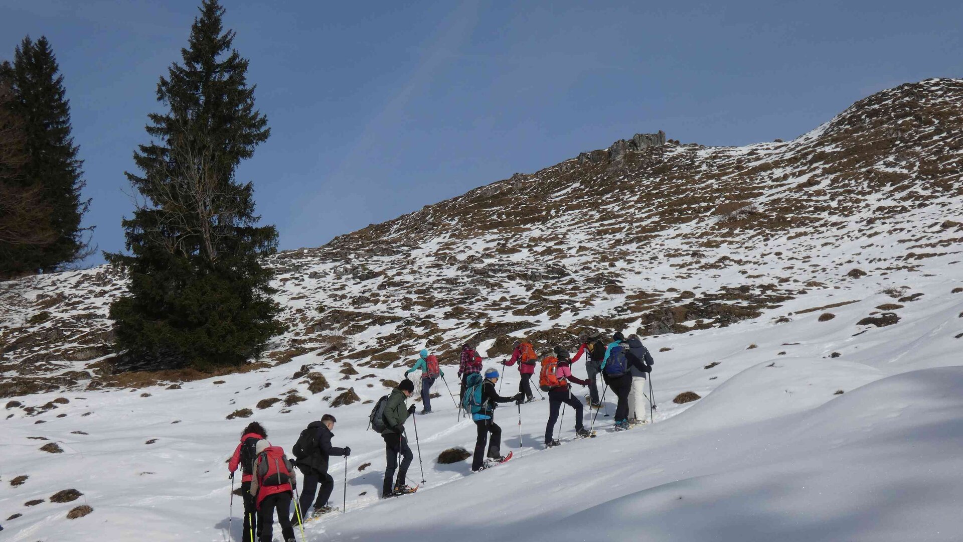 Schneeschuhtouren | © Lydia Buchauer Schneeschuhtouren | © Lydia Buchauer