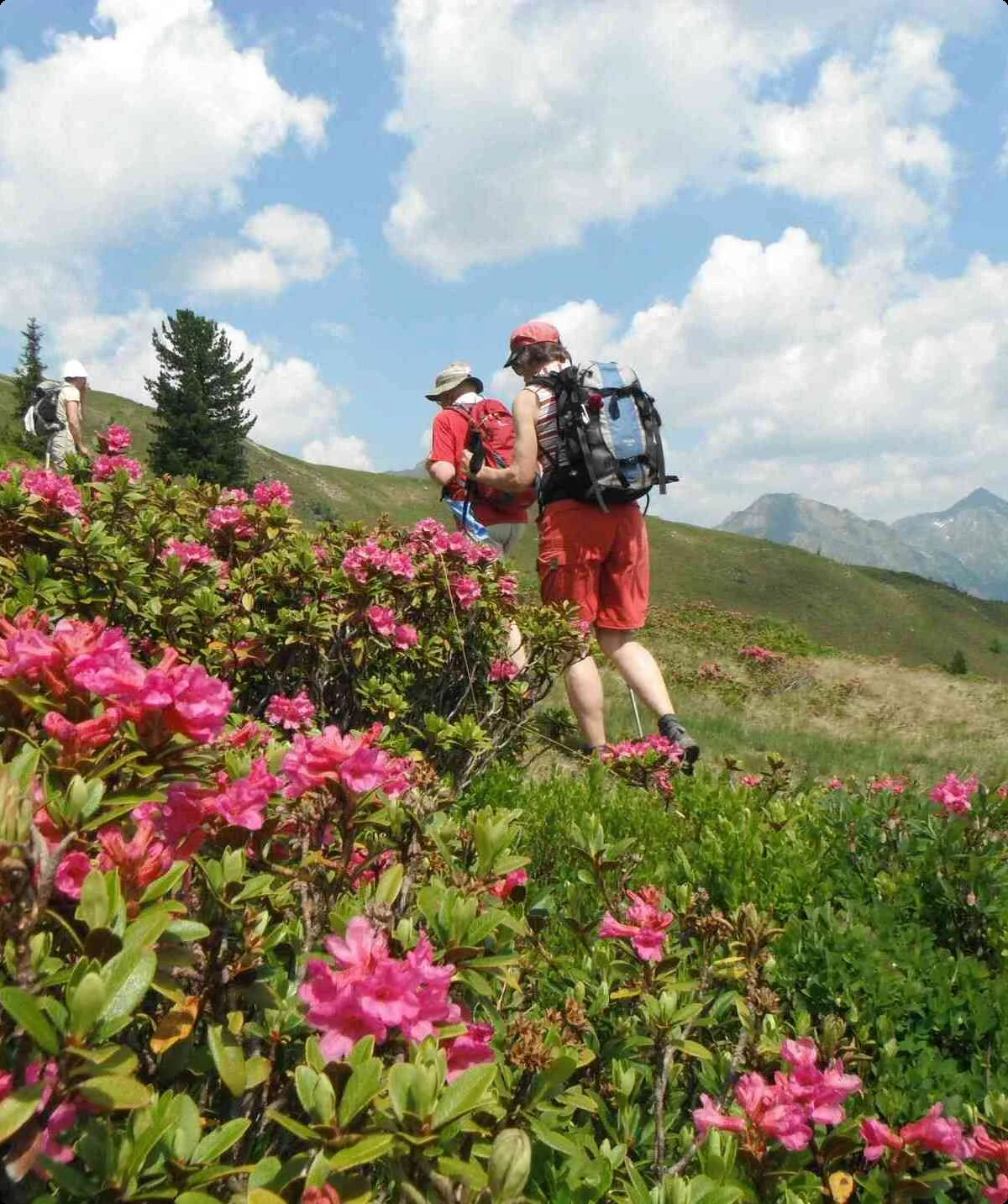 Seniorenwandern 01 | © DAV Sektion Haar