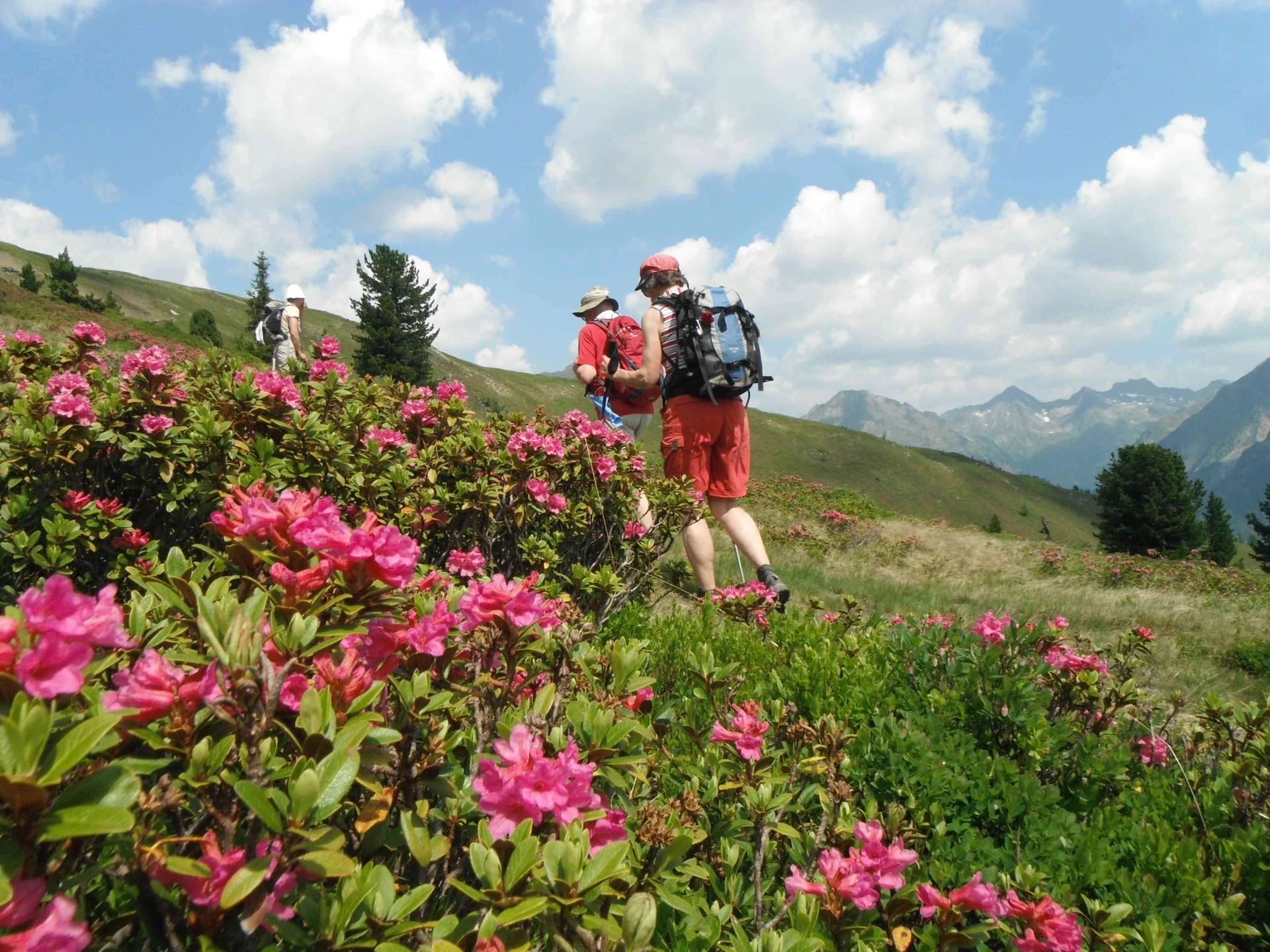 Seniorenwandern 01 | © DAV Sektion Haar