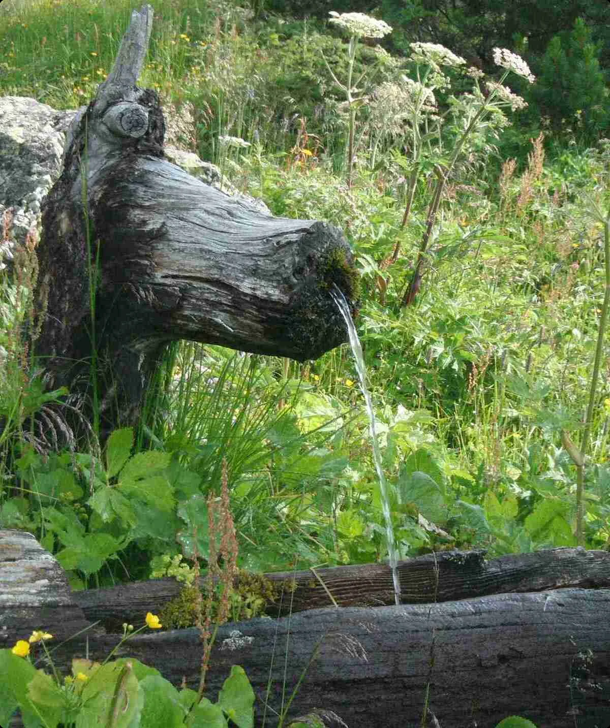 Seniorenwandern 03 | © DAV Sektion Haar