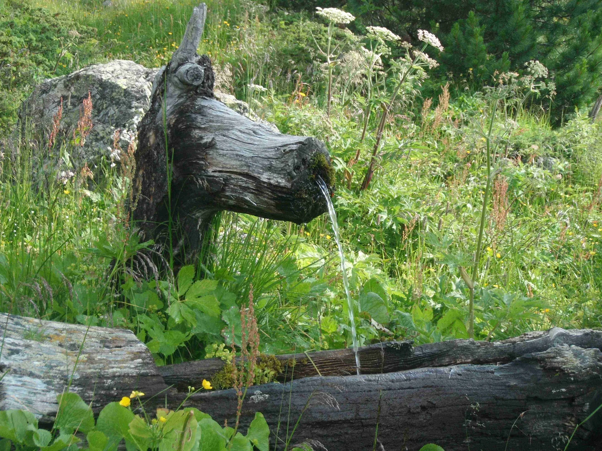 Seniorenwandern 03 | © DAV Sektion Haar